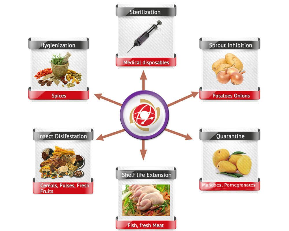 mango-irradiation-commercial-irradiation-irradiators-faq-s-symec